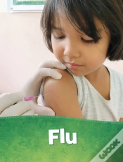 Capa do artigo Flu