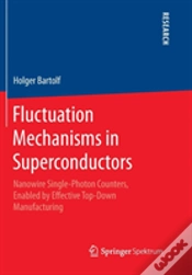Capa do artigo Fluctuation Mechanisms In Superconductors