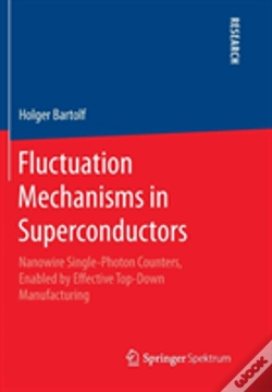 Capa do artigo Fluctuation Mechanisms In Superconductors