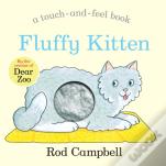 Fluffy Kitten