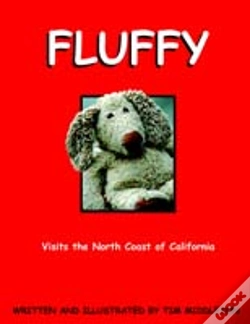 Capa do artigo Fluffy