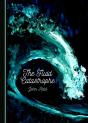 Fluid Catastrophe - Preview