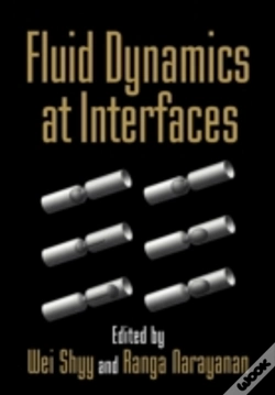 Capa do artigo Fluid Dynamics At Interfaces