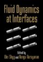 Fluid Dynamics At Interfaces - Preview