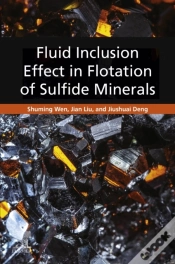 Capa do artigo Fluid Inclusion Effect In Flotation Of Sulfide Minerals
