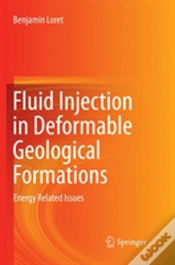 Capa do artigo Fluid Injection In Deformable Geological Formations
