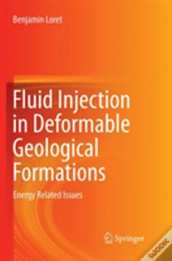 Capa do artigo Fluid Injection In Deformable Geological Formations
