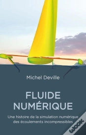 Capa do artigo Fluides Numériques ; Une Histoire De La Simulation Numérique Des Écoulements Incompréssibles