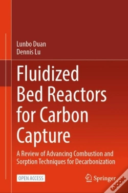 Capa do artigo Fluidized Bed Reactors For Carbon Capture