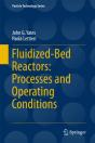 Fluidized-Bed Reactors: Processes And Operating Conditions - Preview