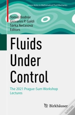 Capa do artigo Fluids Under Control