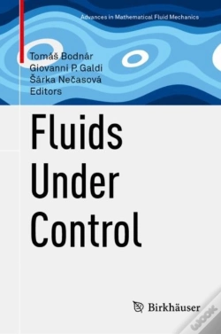Capa do artigo Fluids Under Control
