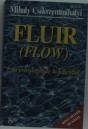 Fluir - Preview