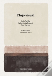 Capa do artigo Flujo Visual