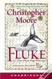 Capa do artigo Fluke