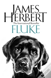 Capa do artigo Fluke
