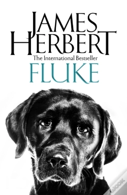 Capa do artigo Fluke