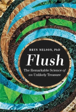 Capa do artigo Flush