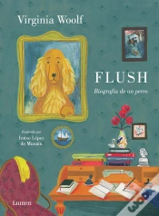 Capa do artigo Flush