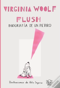 Capa do artigo Flush