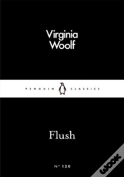 Capa do artigo Flush