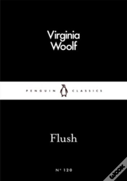 Capa do artigo Flush