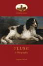Flush - Preview