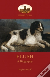 Capa do artigo Flush