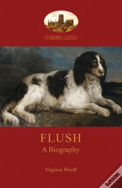 Capa do artigo Flush