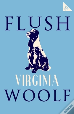 Capa do artigo Flush