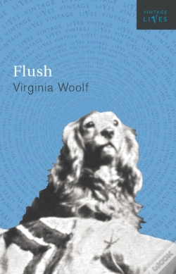 Capa do artigo Flush