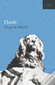 Capa do artigo Flush