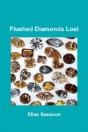 Flushed Diamonds Lost - Preview