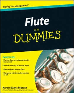 Capa do artigo Flute For Dummies