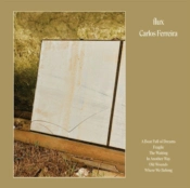 Capa do artigo Flux - Vinil