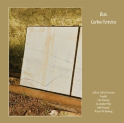 Capa do artigo Flux - Vinil