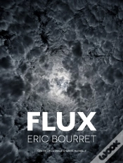 Capa do artigo Flux