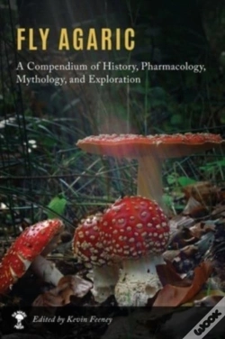 Capa do artigo Fly Agaric