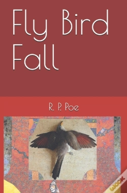 Capa do artigo Fly Bird Fall