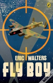 Capa do artigo Fly Boy