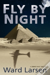Capa do artigo Fly By Night
