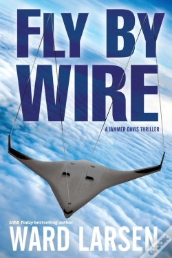 Capa do artigo Fly By Wire