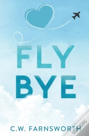 Capa do artigo Fly Bye
