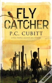 Capa do artigo Fly Catcher