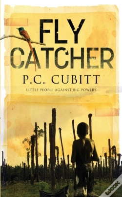 Capa do artigo Fly Catcher