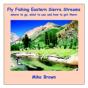 Fly Fishing Eastern Sierra Streams - Preview