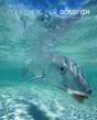 Fly Fishing For Bonefish, New And Revised - Preview