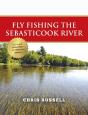 Fly Fishing The Sebasticook River - Preview