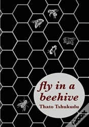 Capa do artigo Fly In A Beehive