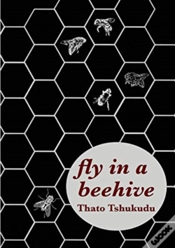 Capa do artigo Fly In A Beehive
